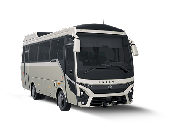 Une allure audacieuse et raffinée