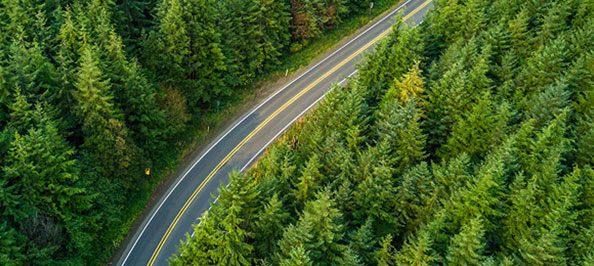 TEMSA Roadside Assistance